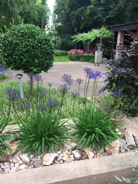 Agapanthus Bed And Breakfast Hoogkarspel Eksteriør billede