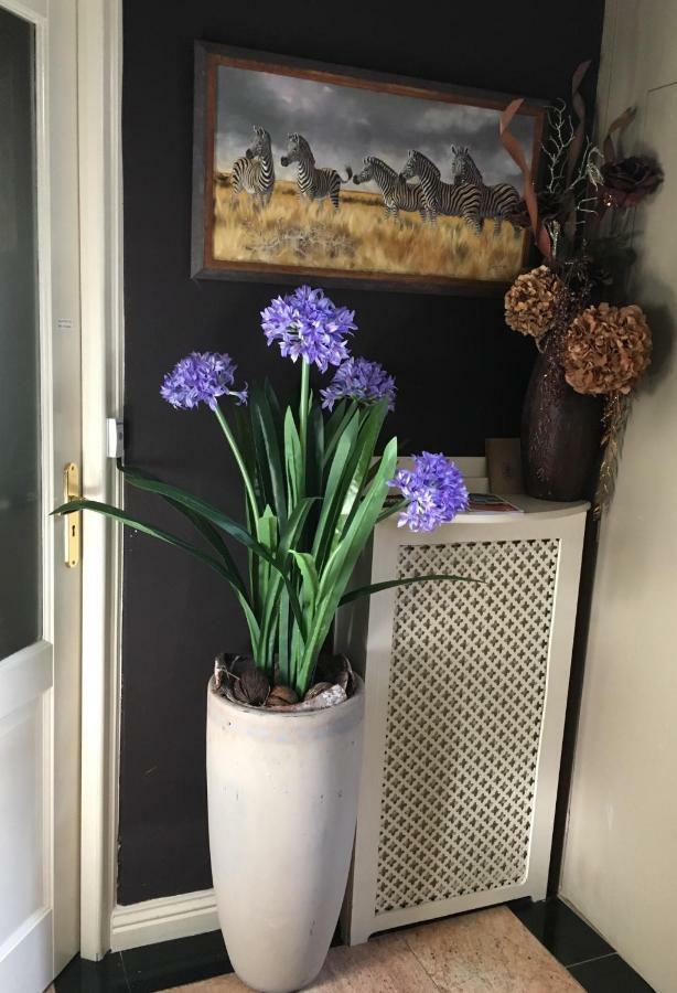 Agapanthus Bed And Breakfast Hoogkarspel Eksteriør billede